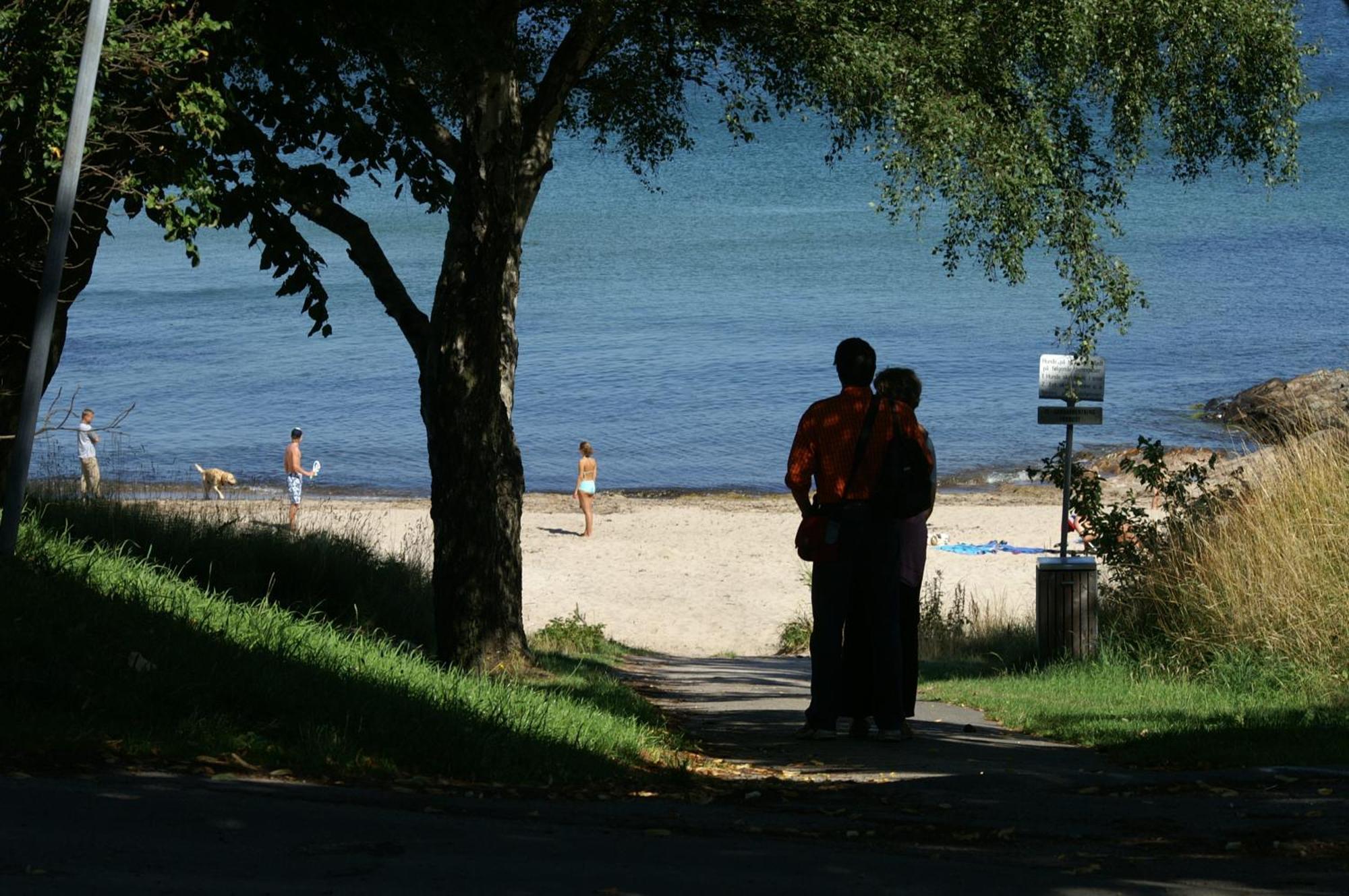 Sandkaas Family Camping & Cottages Allinge-Sandvig Bagian luar foto